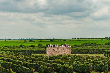Wine Tasting and Wine Tour at SMA