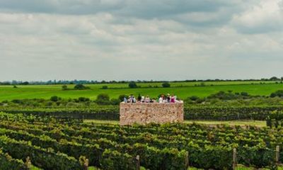 Wine Tasting and Wine Tour at SMA