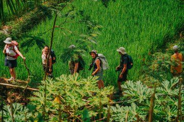 Yogyakarta Multiday Private Program for Senior and Slow Travelers