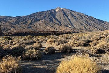 Private Tour Tenerife Teide National Park and Canarian Restaurant