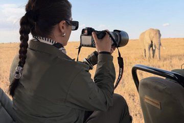 1 Day Ngorongoro Crater Safari Tour from Arusha