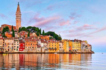 2 Hour Rovinj Private Dolphin Watching Tour