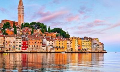 Rovinj Dolphin Watching Private Tour (2 Hours)