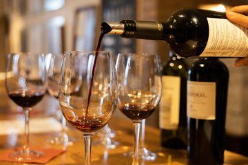 3 Wineries Mendoza Wine Tour with Gourmet 5 Course Lunch