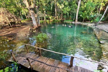 A Refreshing Trek Through Campeche Springs