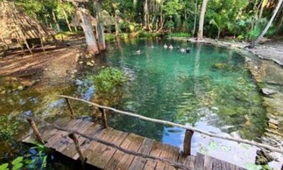 A Refreshing Trek Through Campeche Springs