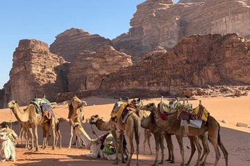 Petra Wadi Rum and Dead Sea Private Tour
