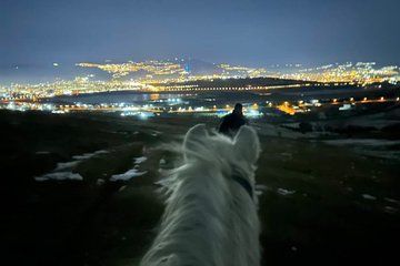 Horseback Riding Experience Near Tbilisi with City Views