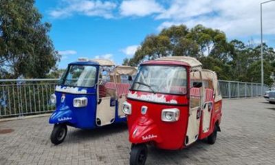 Private 5-Hour Madeira Highlights Tuk Tuk Tour