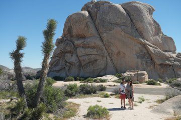 1-Day Joshua Tree National Park Private Adventure from San Diego