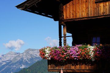 Hidden Gems of Austrian Alp and Castle Tratzberg