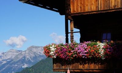 Hidden Gems of Austrian Alp and Castle Tratzberg