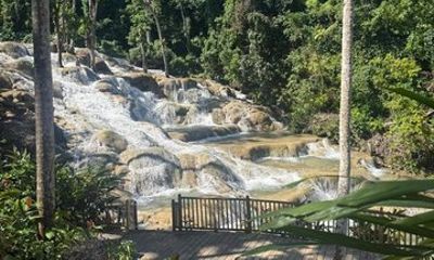Private Dunns River Falls and Shopping from Kingston