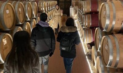 Moldova Wine Tour: Explore Iconic Wineries and Vineyards