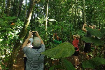 Sloth & Wildlife Tour in La Fortuna (Small Groups, Expert Guide)