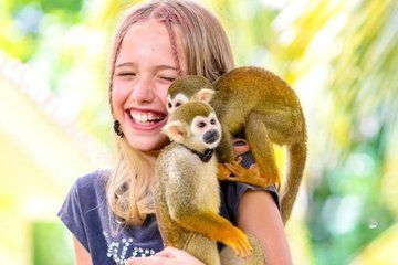 Shared Guided Punta Cana Horseback Riding Tour