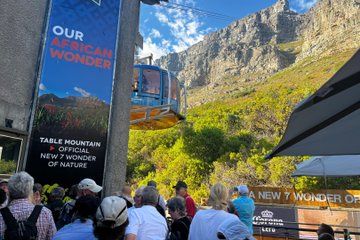 Half-Day Cape Highlights Table Mountain and Penguins