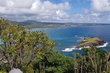 Devonport Sheffield Burnie Shore Excursion Sightseeing