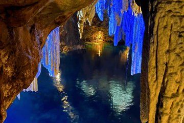 Explore Coron's Malwawey Coral Garden by Boat
