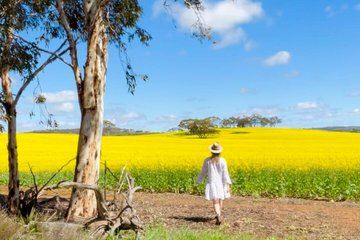 Wildflowers Canola Fields and Historic New Norcia Day Tour