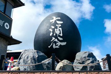 From Tokyo One Day Tour of Hakone and Owakudani