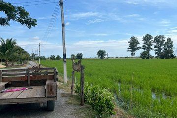 2 Days Private Experience from Bangkok Big City Farm