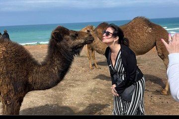 Private Day Trip VIP Tour to Tangier from Tarifa or Algeciras
