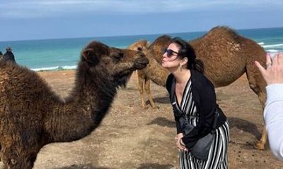 Private Day Trip VIP Tour to Tangier from Tarifa or Algeciras