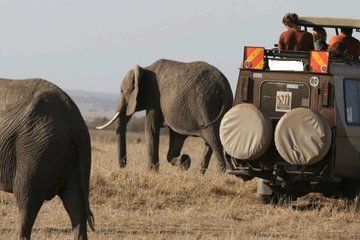 3 Days 2 Nights Maasai Mara National Reserve Safari Tour