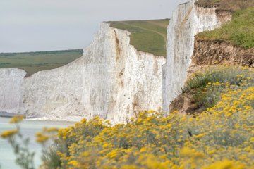 Seven Sisters and Brighton Tour