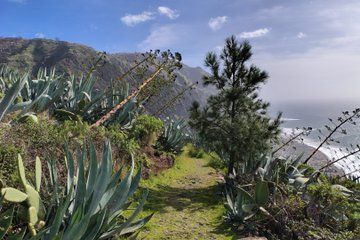 Southwest Madeira Paul do Mar Guided Hike