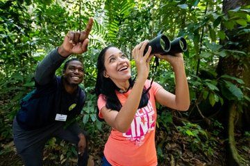 St. Lucia Sunrise Birdwatching and Rainforest Hike with Breakfast