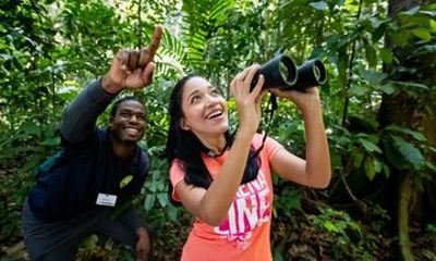 St. Lucia Sunrise Birdwatching and Rainforest Hike with Breakfast
