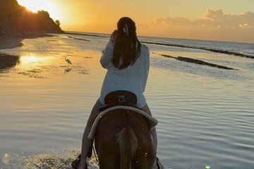 Horseback Riding on Vieques Beach