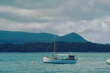 Hobart City Highlights and Scenic Lookouts Tour