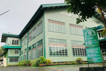Private River Safari Tea Factory Turtles hatuchery Day Tour