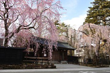 Private Akita Samurai and History Tour by Car