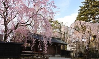 Private Akita Samurai and History Tour by Car