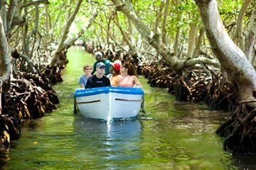 Roatan East Side Mangrove Tunnels Tour,Garifuna Village,Snorkel