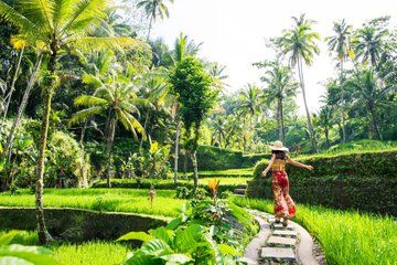 Private Tour in Ubud with Lunch