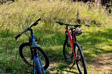 Private Angkor Wat Bike Tour Hidden Temples and Jungle Trails