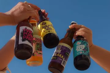 Portuguese Craft Beer Tasting Experience