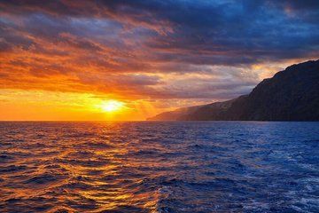 Funchal Sunset Tour Swimming Stop Dolphin and Whale Watching