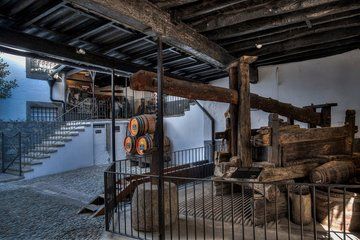 Madeira Wine Guided Tour and Cheese Tasting