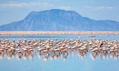 Lake Magadi and Olorgesailie Day Tour