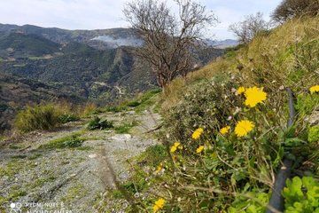Van Tour with Hiking in Chania Mountains