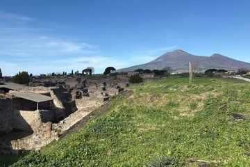 Pompeii and Herculaneum Private Tour with Luxury Transport
