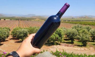 Wine Blending Tour: Create Your Own Red Wine in a Day