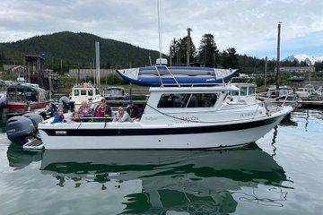 Private Juneau Adventure Whale Watching Kayaking and Glacier View