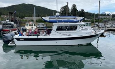 Private Juneau Adventure Whale Watching Kayaking and Glacier View
